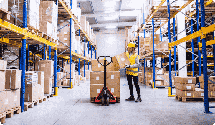 Makeup warehouse
